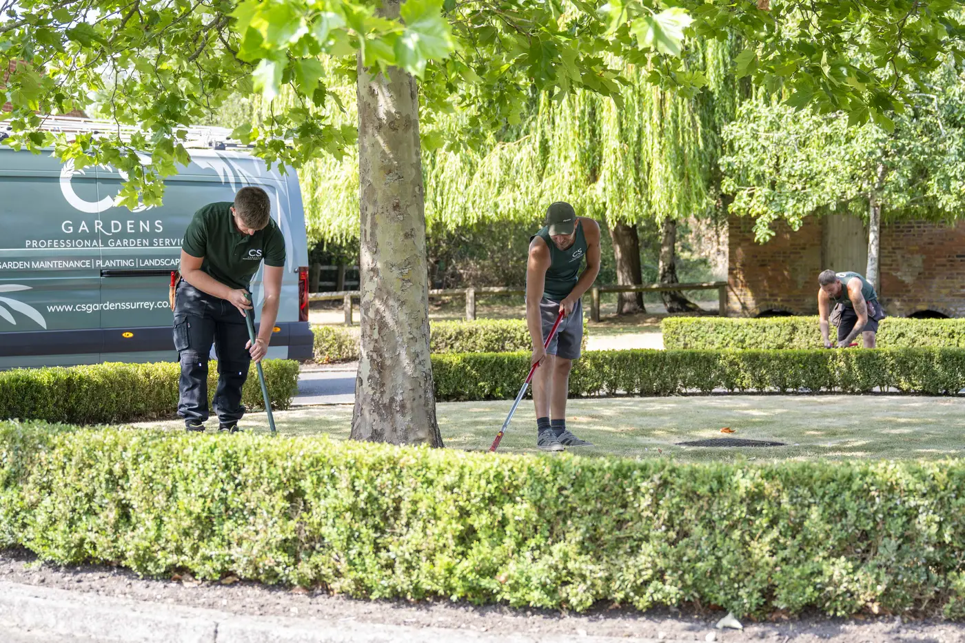 CS Gardens team carrying out lawn care and hedge maintenance at a Surrey property