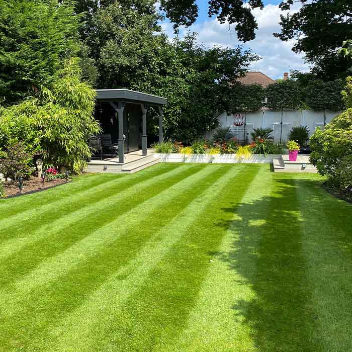 Freshly cut striped lawn with pergola and planted borders
