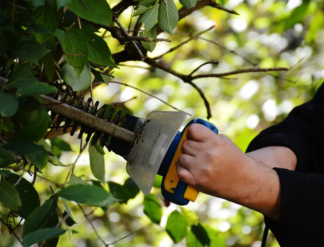 Why London and Surrey Homeowners Choose CS Services